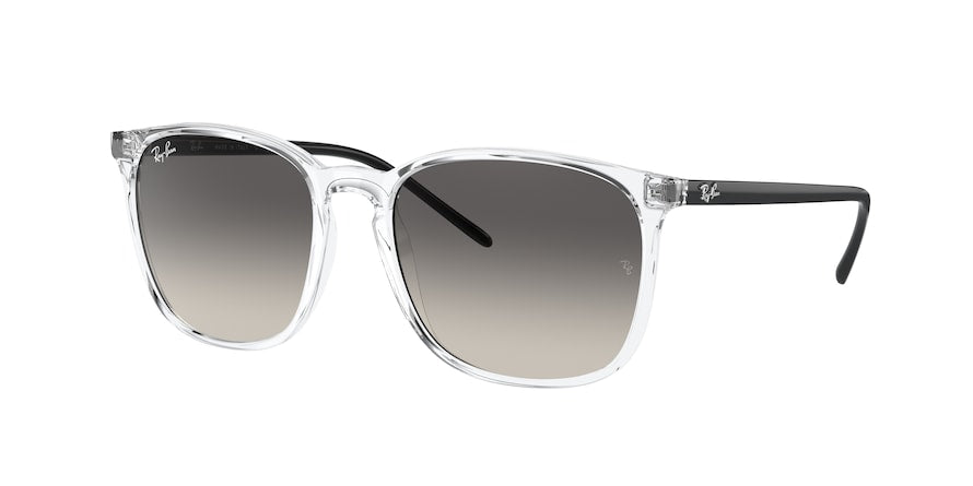 Ray Ban - Transparent Grey W/ - ORB4387
