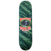 Alltimers Fisher Bassett - 8.3